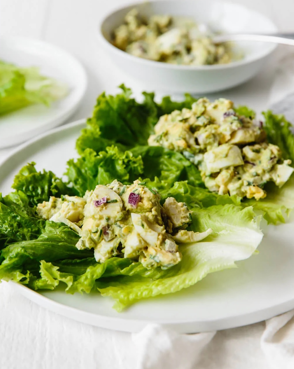 Delicious avocado egg salad over lettuce leaves.